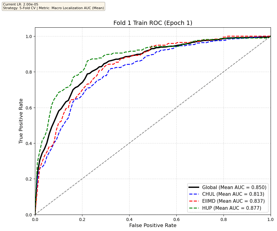 Fold 1 Train Set Gif